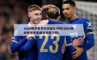 2020男乒世界杯樊振东夺冠(2020男乒世界杯樊振东夺冠了吗)