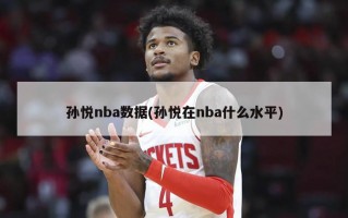 孙悦nba数据(孙悦在nba什么水平)