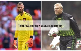 去年nba总冠军(去年nba总冠军是谁)