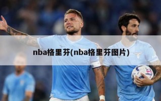 nba格里芬(nba格里芬图片)